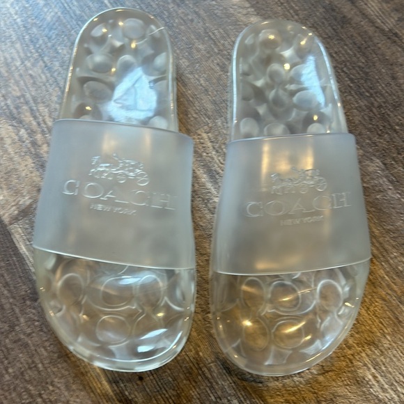 Coach size clear slides - Picture 3 of 8